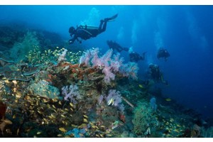 DOT-Eastern Visayas eyes hosting of Philippine Dive Experience