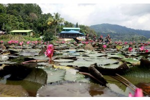 PH tourism revenue hits P282-B; up 32.8% in H1 of 2024