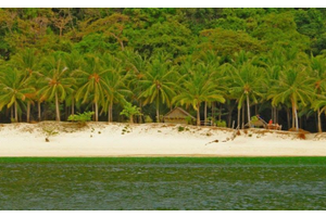 Palawan posts almost 90% rise in tourist arrivals in 2023