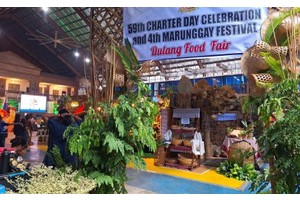 Superfood marunggay hogs spotlight in Laoag cook-off