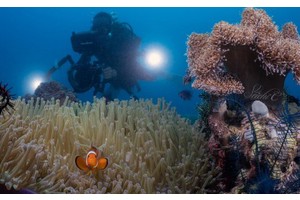 PH wins best diving destination title at Beijing expo