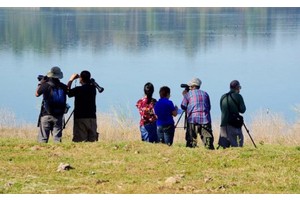 DOT eyes Taiwan model for Ilocos birdwatching tourism