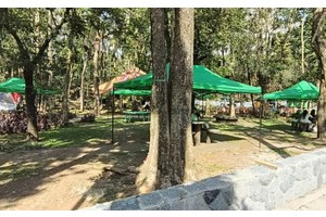 7 first-time visitors to get free stay in Baguio annual search