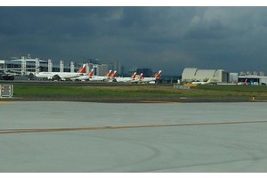 PAL lands 2nd most preferred airline in SEA -- survey