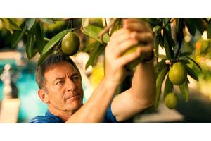 The Poisonous Fruit In The White Lotus Season 3 Explained (Is It Real?)