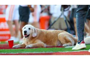 Ben Herbstreit and his owner Kirk earn spots on the 2024 SI Power List