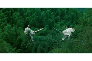 Crouching Tiger, Hidden Dragon Series In The Works 25 Years After Feature Film