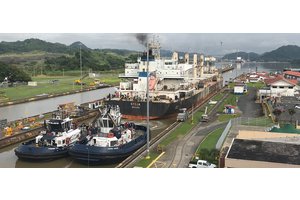 Ports, shipping need to go green to resist future global crises: UNCTAD | UN News