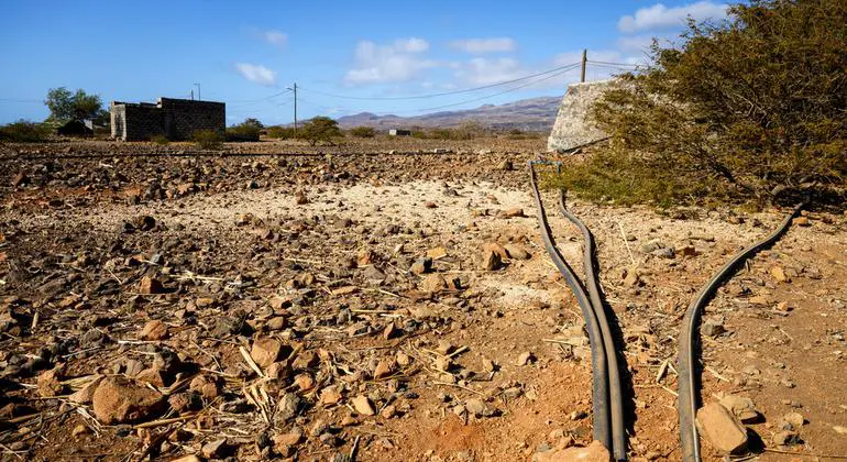 UN supported projects include drip irrigation in drought-stricken areas, like this one in Casa do Meio, municipality of Porto Novo, on the island of Santo Antão.