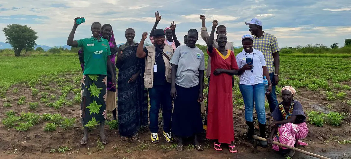 A cooperative of women farmers in South Sudan has been trained in seed production by FAO. A cooperative of women farmers in South Sudan has been trained in seed production by FAO.