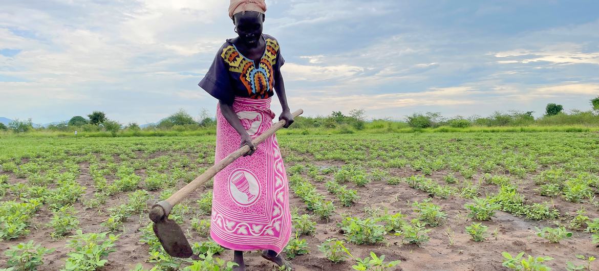 A farmer in South Sudan tills her land. A farmer in South Sudan tills her land.