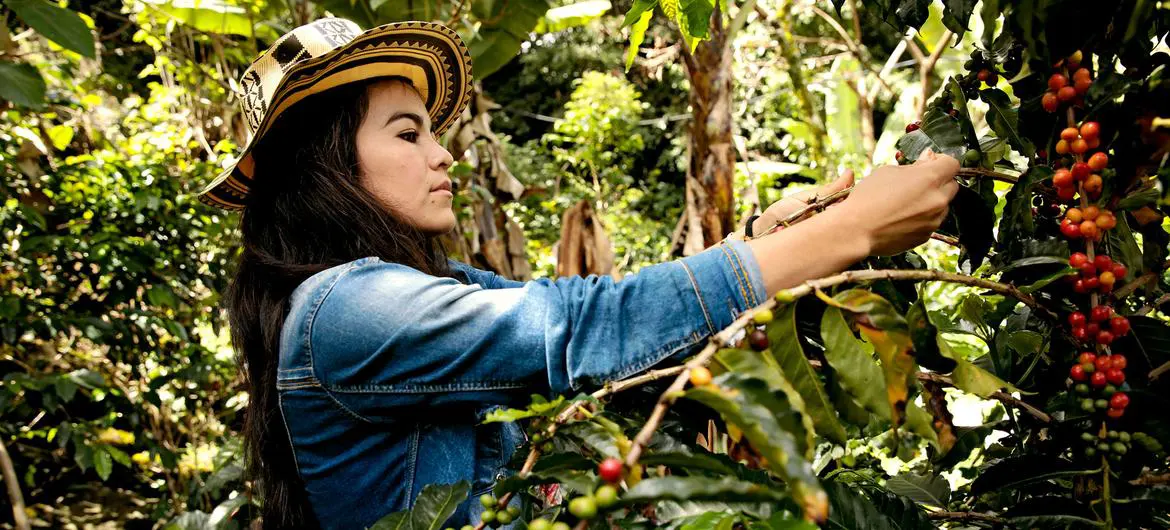 Colombian coffee grower Deyanira Cordoba has learned about her economic rights and more from a UN Women project. Colombian coffee grower Deyanira Cordoba has learned about her economic rights and more from a UN Women project.