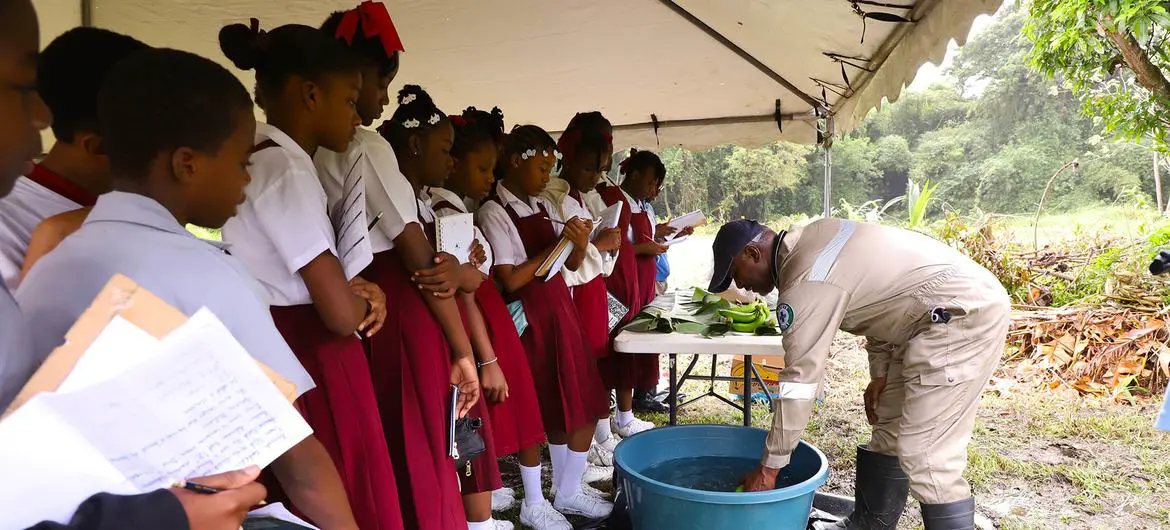 School children in Tobago learn about the cultivation of bananas.