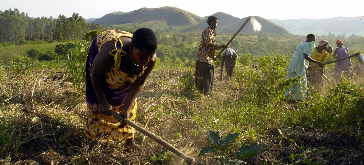 Disputes over land ownership can lead to violence. Disputes over land ownership can lead to violence.