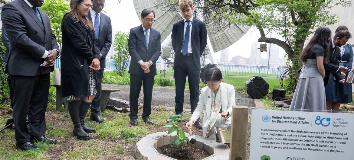 Izumi Nakamitsu, UN High Representative for Disarmament Affairs (in white), during the tree planting ceremony at Headquarters to commemorate the 80th Anniversary of the founding of the United Nations and the atomic bombings in Hiroshima and Nagasaki. Izumi Nakamitsu, UN High Representative for Disarmament Affairs (in white), during the tree planting ceremony at Headquarters to commemorate the 80th Anniversary of the founding of the United Nations and the atomic bombings in Hiroshima and Nagasaki.