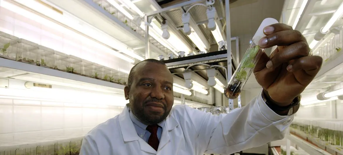 Technological and scientific innovations are revolutionizing the agrifood sector