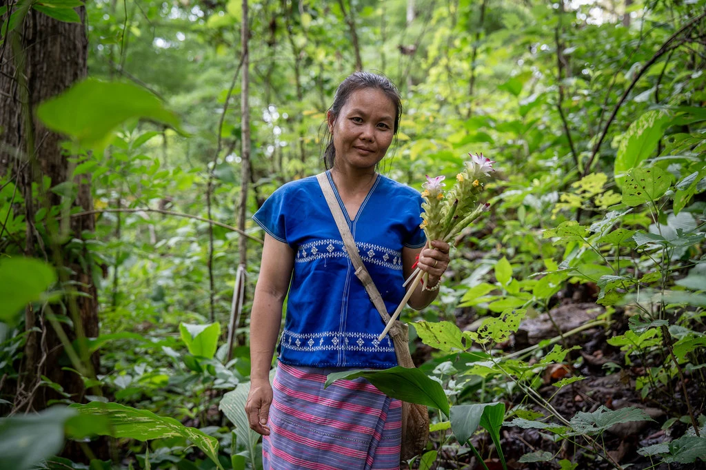 Dao Phrasuk Moepoy Dao Phrasuk Moepoy