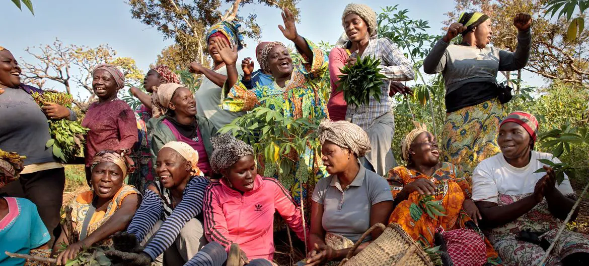 A women’s cooperative is forming in the township of Yoko, Cameroon.