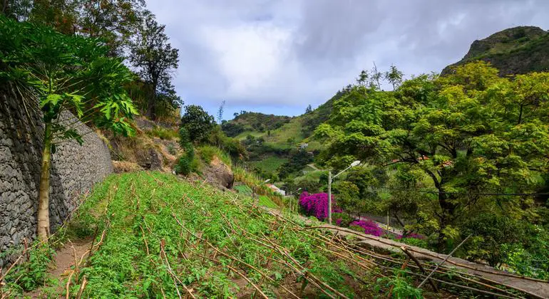 A UN system climate resilience project in Cape Verde's mountainous island of Santo Antão.