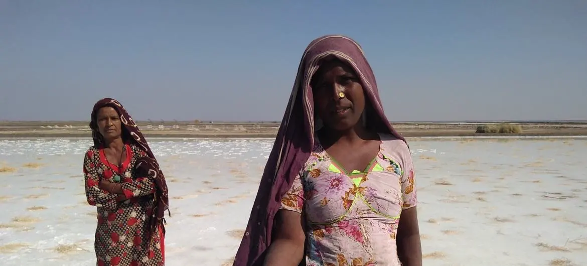 The multi-pronged programme will facilitate the training of salt pan workers from the Rann of Kutch in solar power technologies to help them leapfrog from traditional energy sources to renewable and clean energy and new livelihood opportunities. The multi-pronged programme will facilitate the training of salt pan workers from the Rann of Kutch in solar power technologies to help them leapfrog from traditional energy sources to renewable and clean energy and new livelihood opportunities.