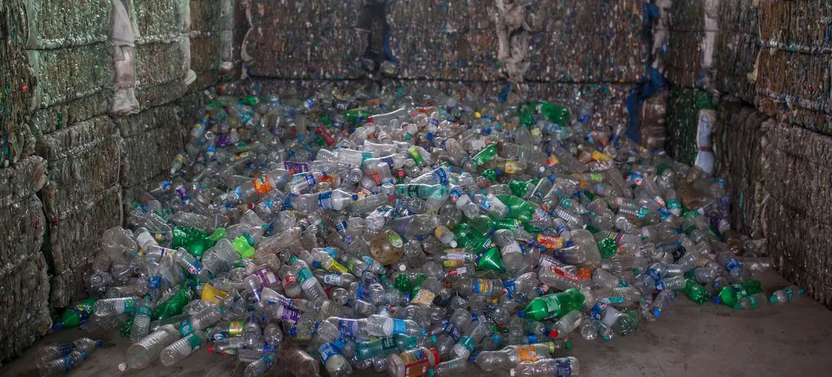 Plastic bottles are collected for recycling in India.
