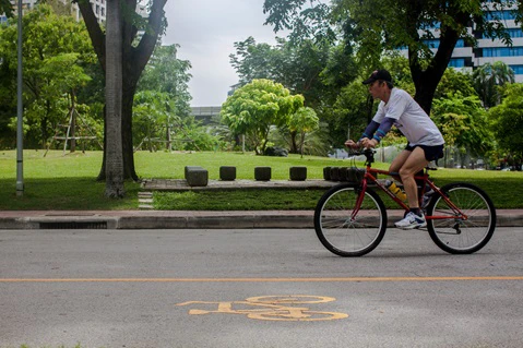 School children crossing a road