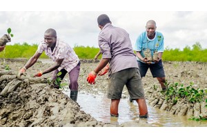 Funding a better future for all: 5 things to know about the Financing for Development Forum | UN News