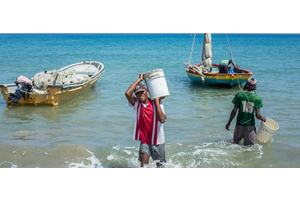 World Bank: sharp, long