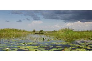 Water’s a ‘dealmaker’ for multilateral cooperation and the SDGs | UN News