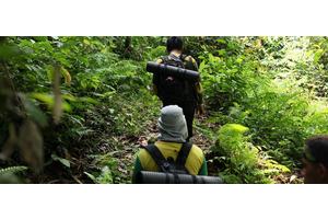 Balancing biodiversity at global UN summit in Colombia | UN News