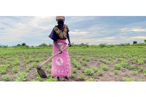 ‘A spirit of oneness’: Cooperatives cultivating peace in South Sudan | UN News