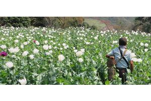 Myanmar: Middle class ‘disappearing’ amid uptick in brutal fighting | UN News