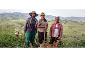 Farmers the ‘lifeblood of our food systems’, deputy UN chief highlights, ahead of key summit | UN News