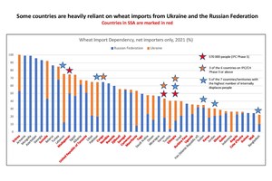 Ukraine war squeezes food supplies, drives up prices, threatens vulnerable nations | UN News