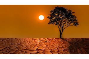 WMO: 2024 is on track to be the warmest year on record