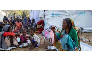 Sudan war: Any peace deal must respect national sovereignty, UN envoy says | UN News