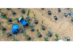 UN forum to spotlight health, gender equality, oceans, in critical bid to meet development goals | UN News