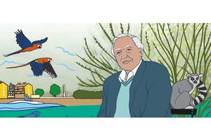 Stories from the UN Archive: BBC legend and UN Earth Champion | UN News