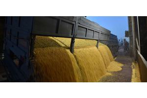 Guterres hails ‘critical step forward’ on resuming Ukraine grain exports | UN News