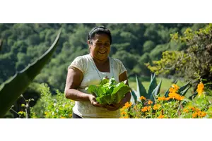 Women building a sustainable future: The Mexican violinist who saved the Sierra Gorda | UN News