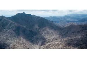 First Person: Crafting a new life after a devastating hurricane | UN News