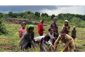 Candlenuts, chilli and chickens: Transforming Indonesia’s rural economy | UN News