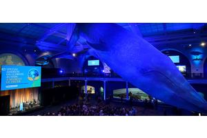 There is an exit off ‘the highway to climate hell’, Guterres insists | UN News