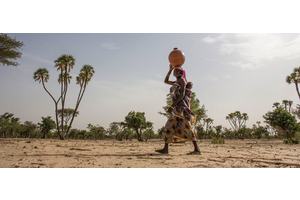 Six bold environmental leaders named 2024 Champions of the Earth | UN News