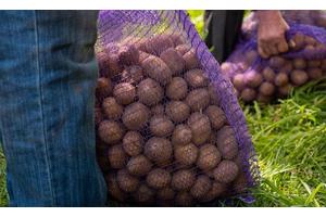 Sri Lanka's misery should be warning to us all on global food, fuel and finance crisis: UNDP | UN News