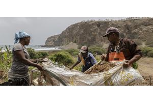 Cabo Verde beats back climate change through South