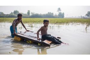 COP27: ‘Zero tolerance for greenwashing’, Guterres says as new report cracks down on empty net