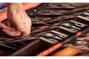 From the Field: Interweaving ecosystems in Indonesia | UN News