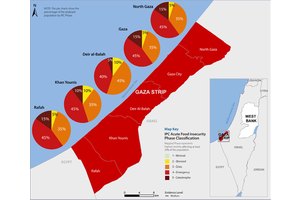 Gaza: Starvation looms for one in five people, say food security experts | UN News