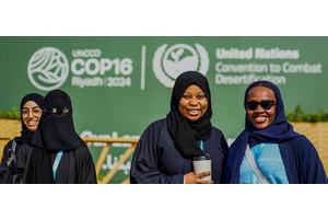 Three billion people globally impacted by land degradation | UN News